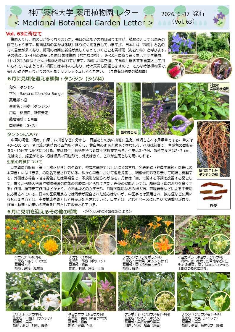 神戸薬科大学薬用植物園レターバックナンバー | 大学案内 | 神戸薬科大学